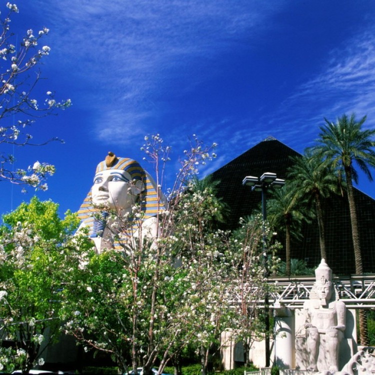 Las Vegas #1189