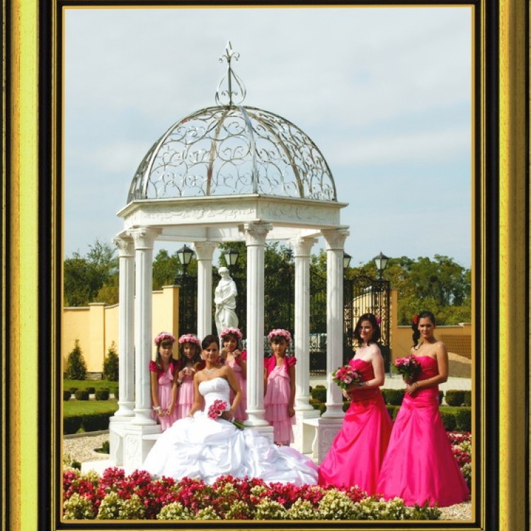 Wedding #1298