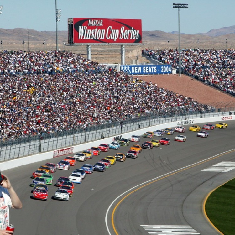 Nascar LasVegas #1488