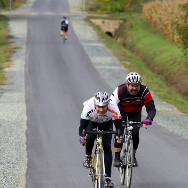 CYCLING  AT-HU Szombathely #2618